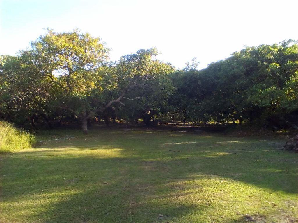 Cashew Nut Bungalow, Ko Mook Bagian luar foto