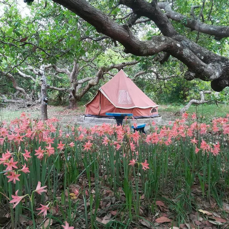 Cashew Nut Bungalow, Ko Mook Bagian luar foto